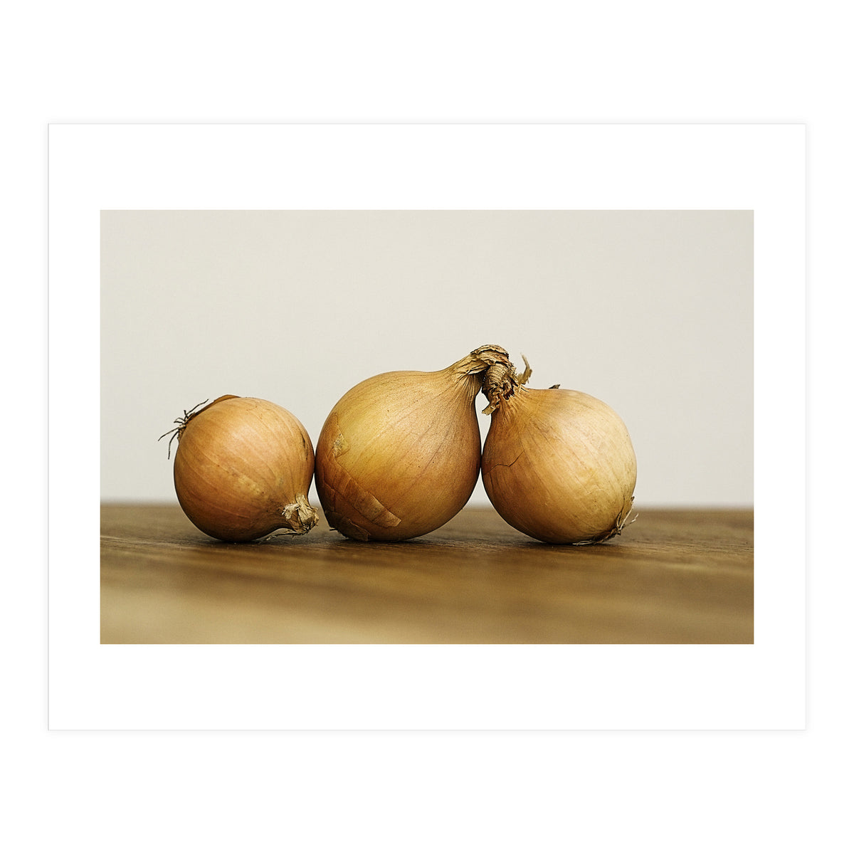 Onions (Print Only)
