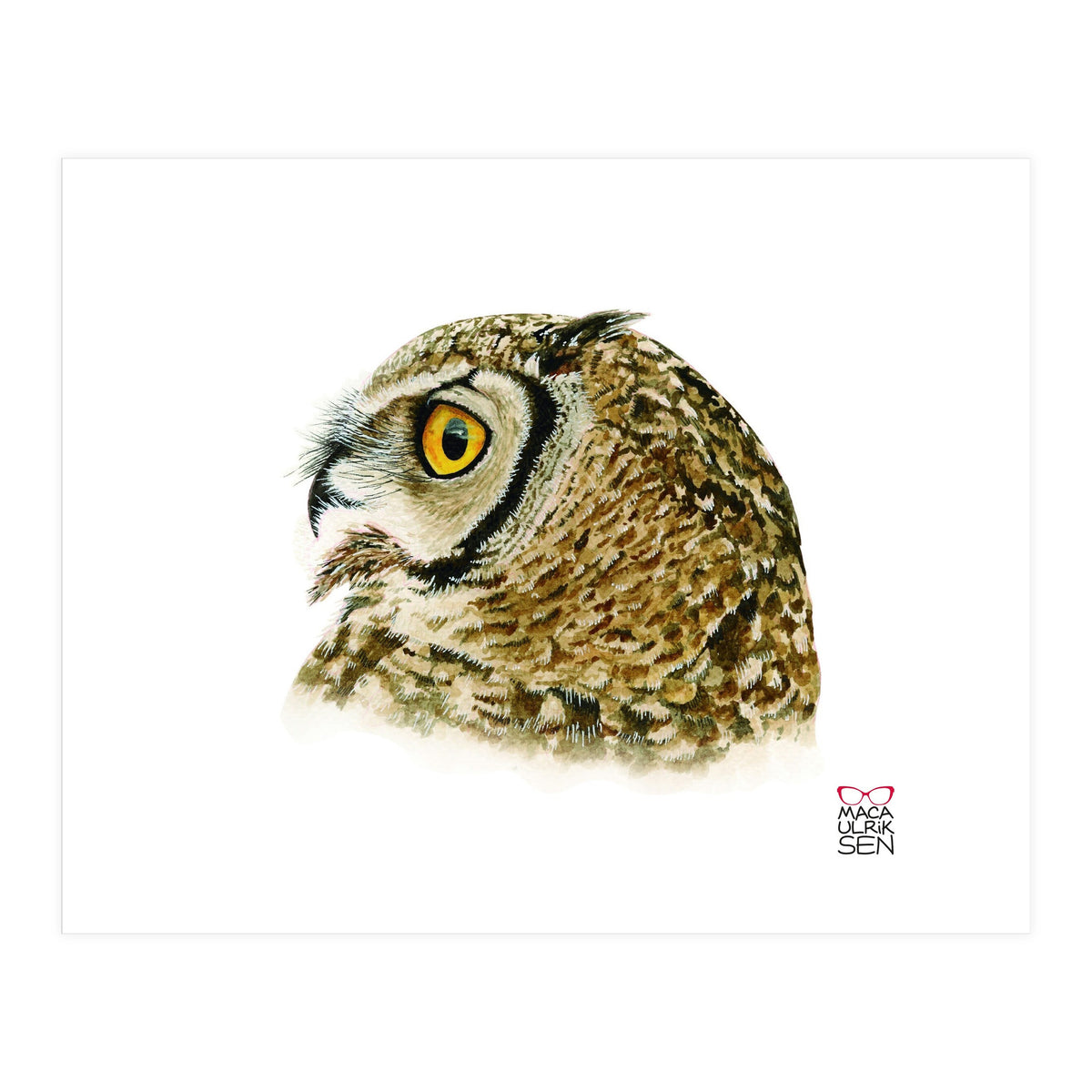 Lesser horned owl  (Print Only)