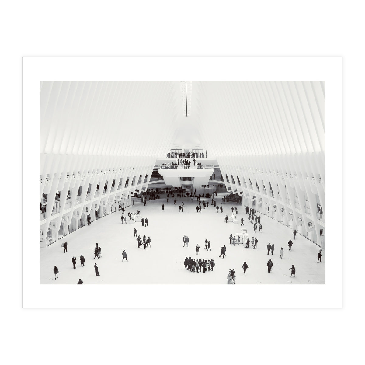 Oculus (Print Only)