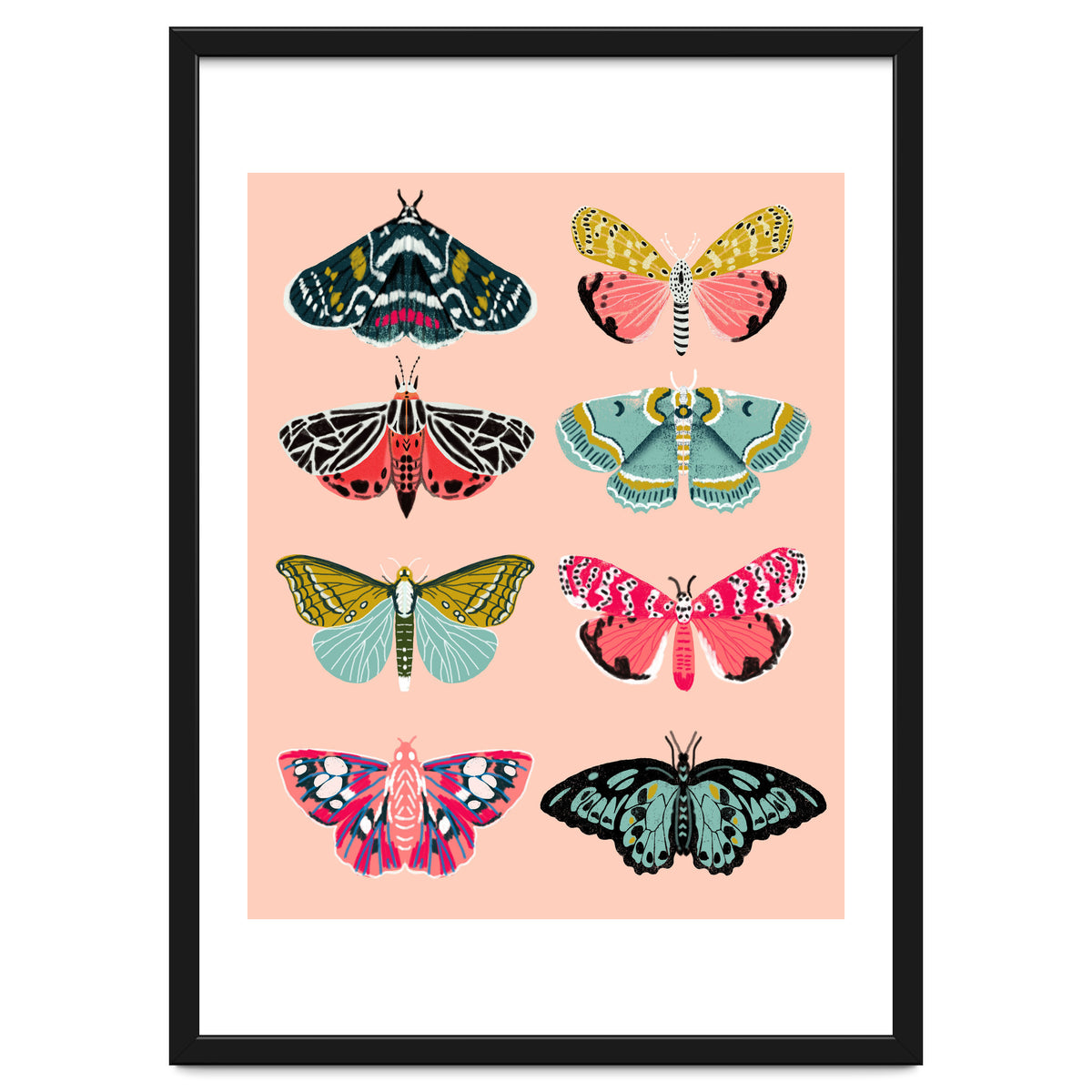 Lepidoptery No. 1