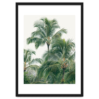 Lush Palm Trees