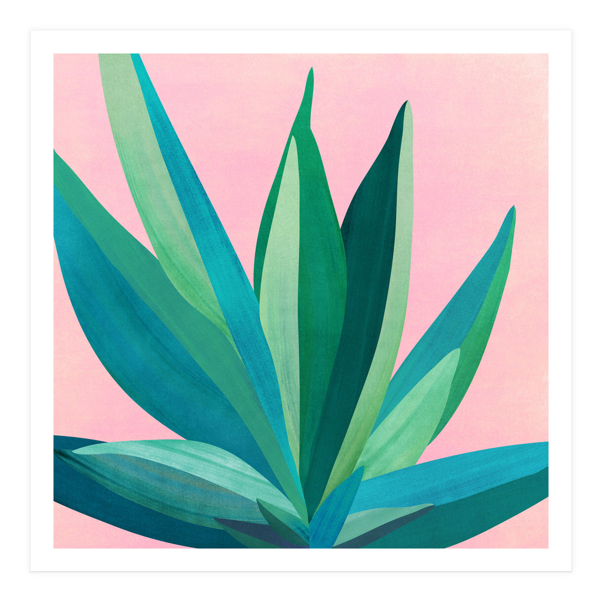 Southwest Agave (Print Only)