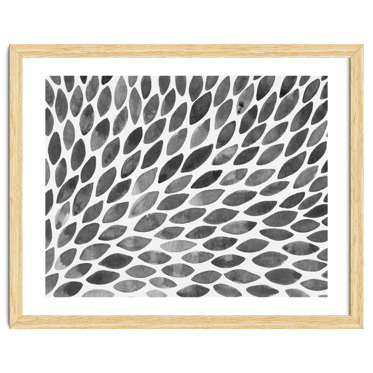 Black and white petal burst