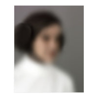 BLURRED PRINCESS I (Print Only)