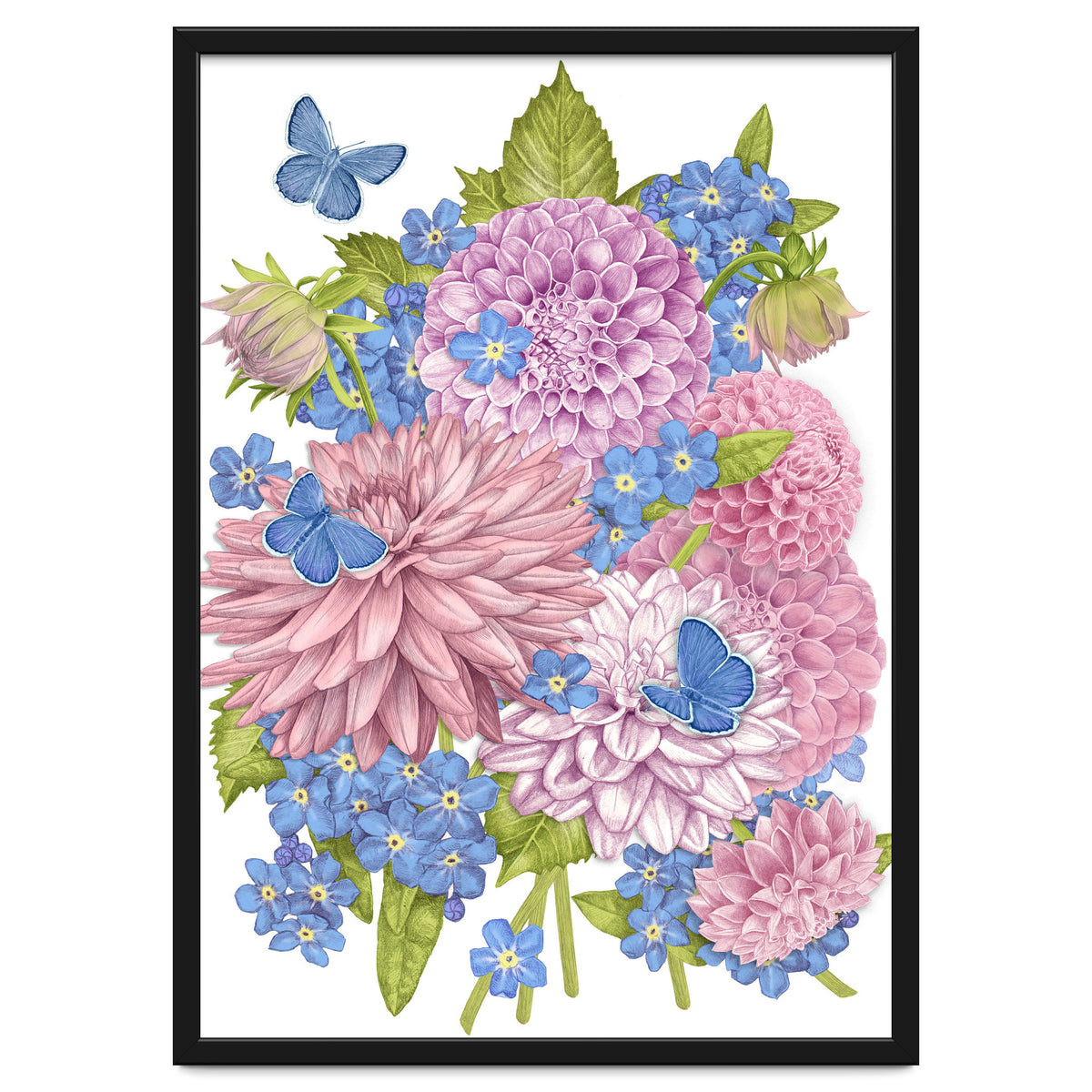 Pink Flowers and Butterflies