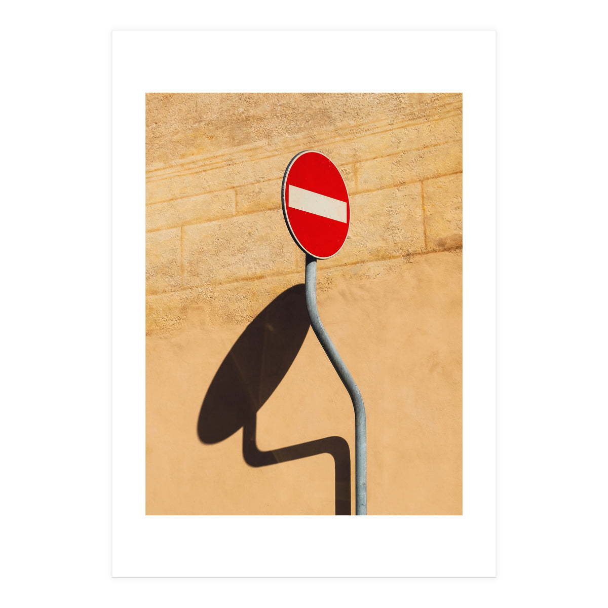 Snake on wall (Print Only)