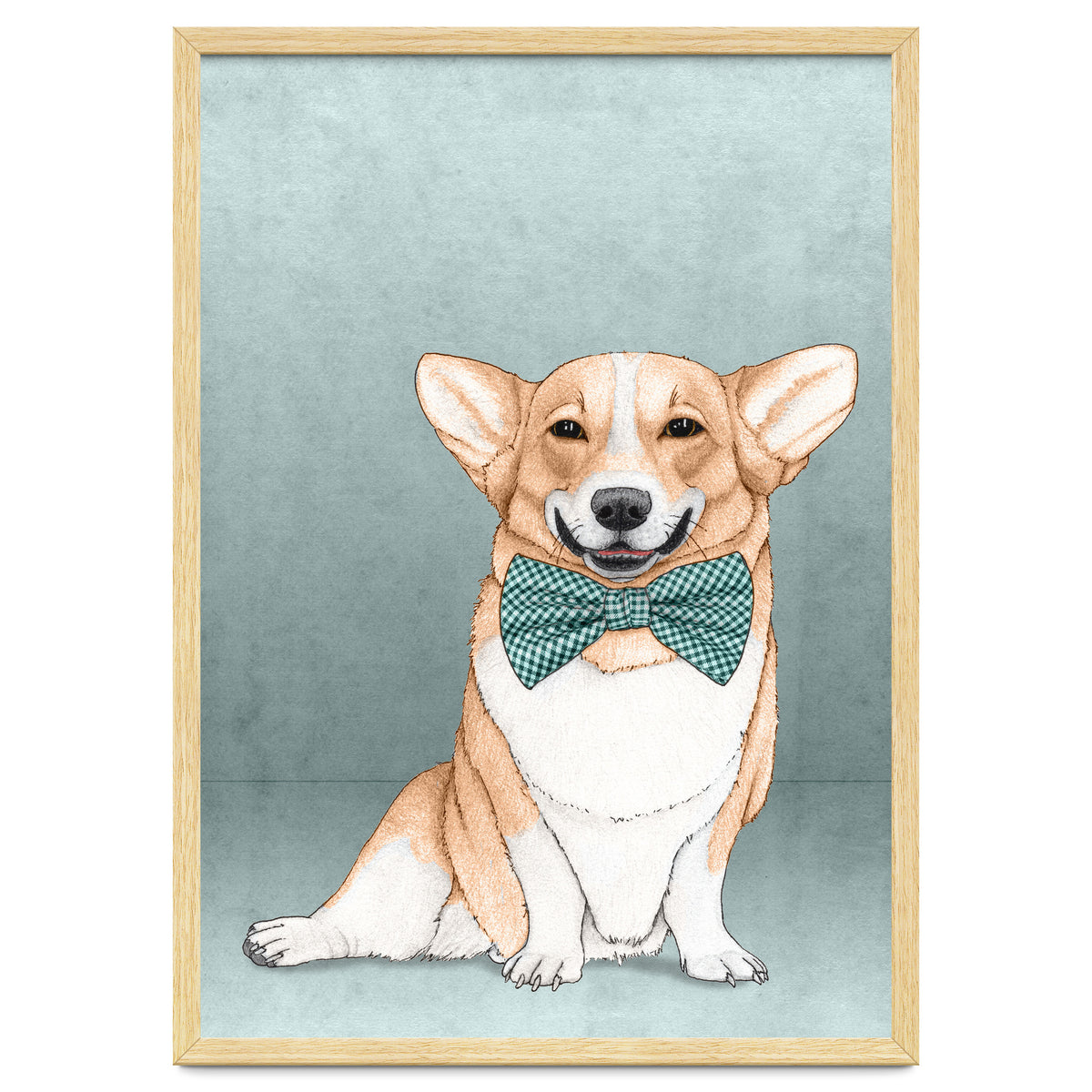Corgi Dog