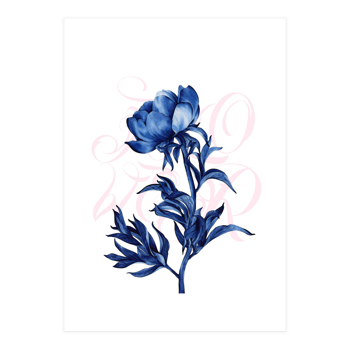 rosa blu (Print Only)