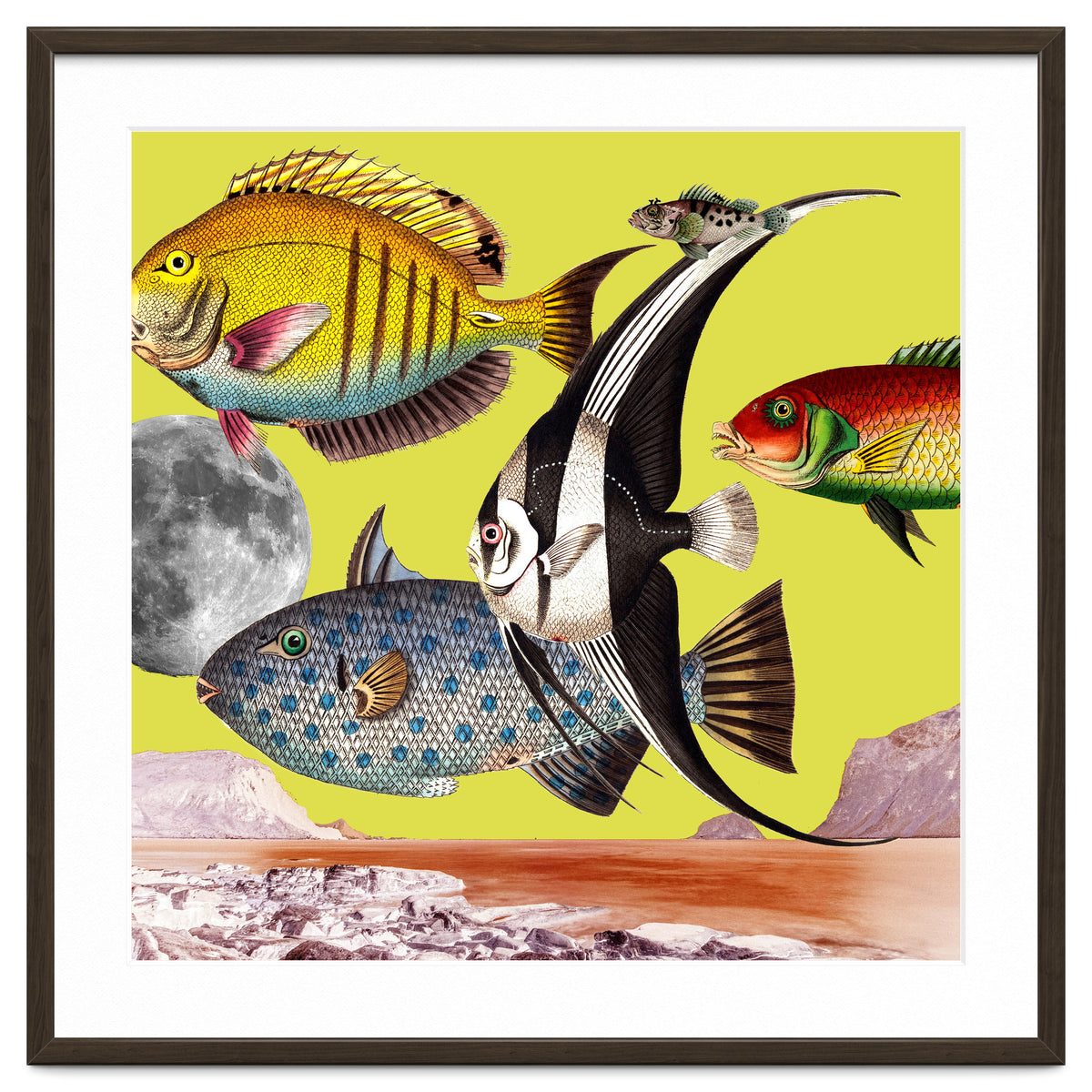 Plenty Of Fish In The Sea Yellow