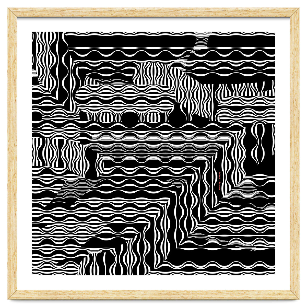 BLACK AND WHITE EXOTIC