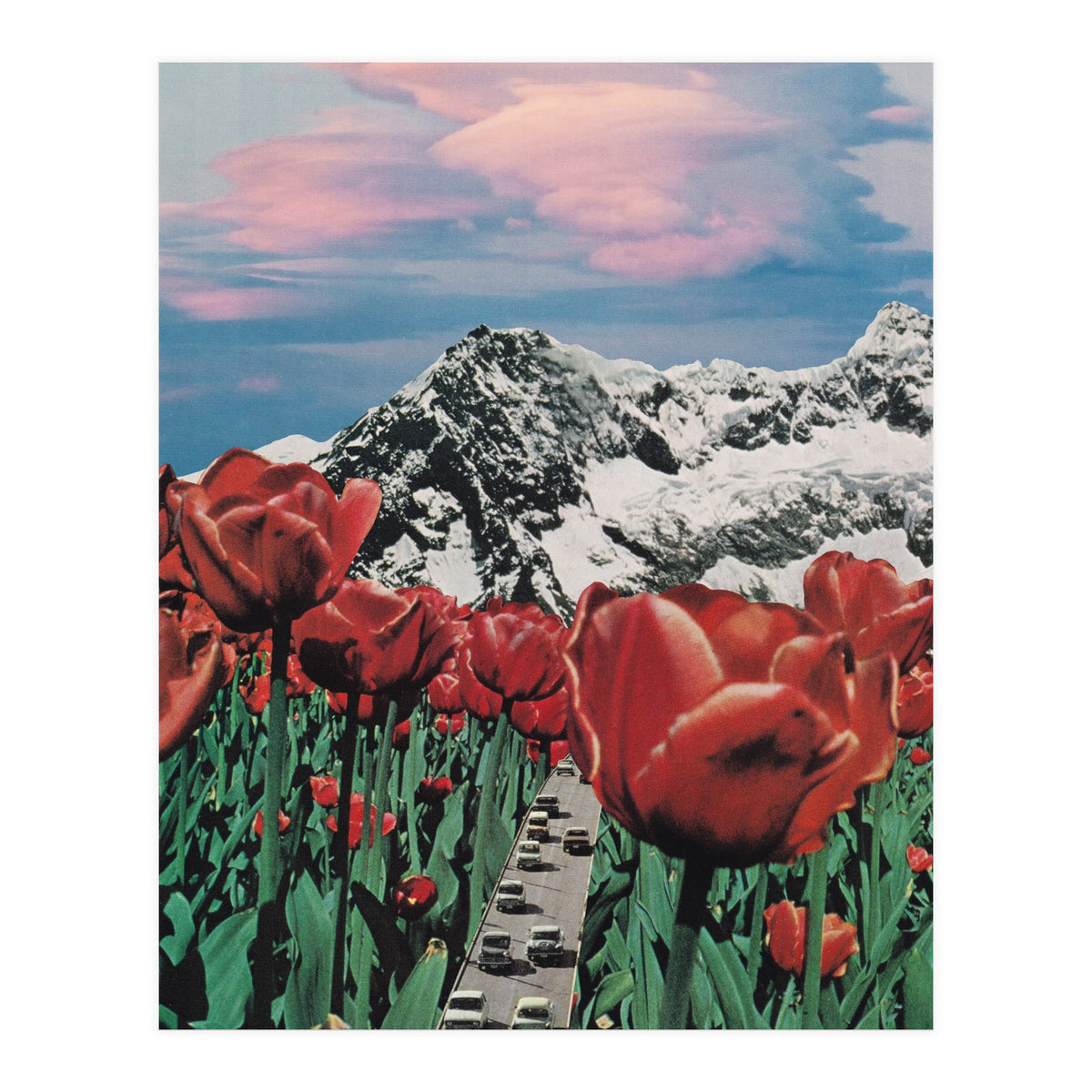 Tulip Road (Print Only)