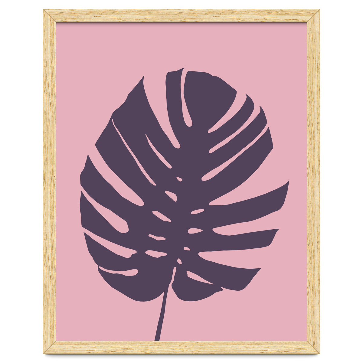 Monstera Deliciosa III