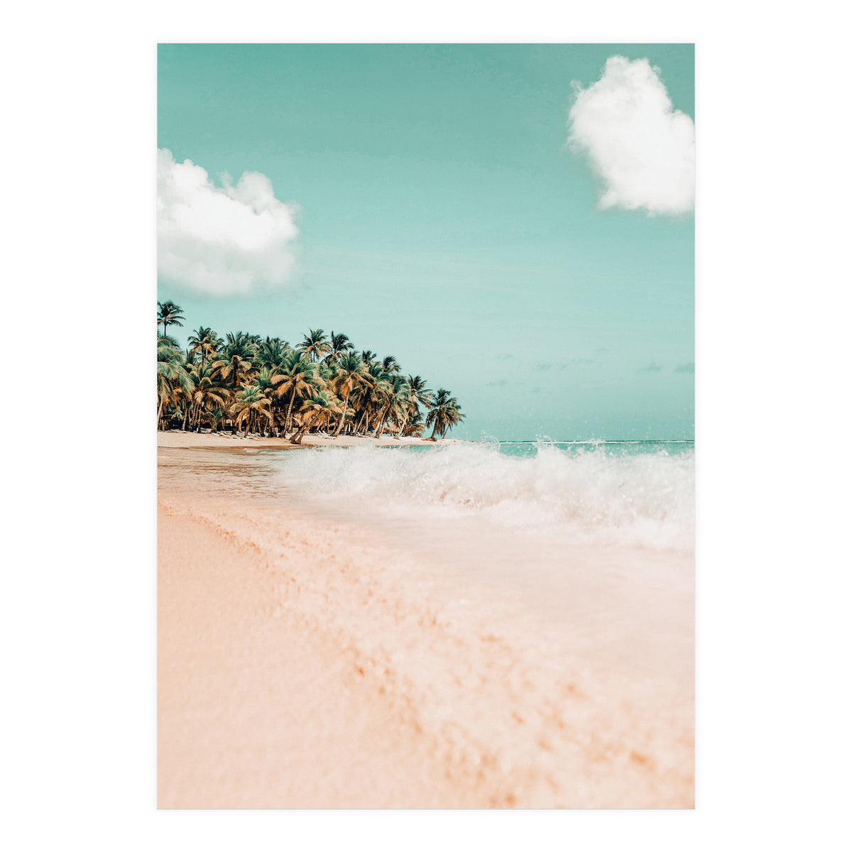 Palm Island (Print Only)