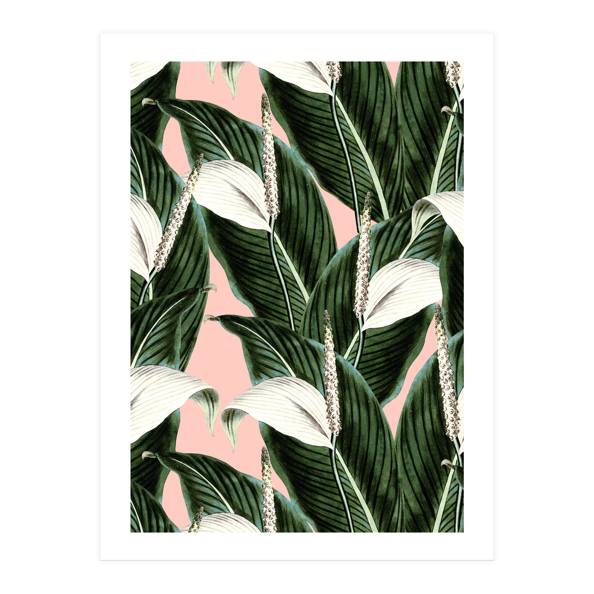 Sweet floral Pothos (Print Only)