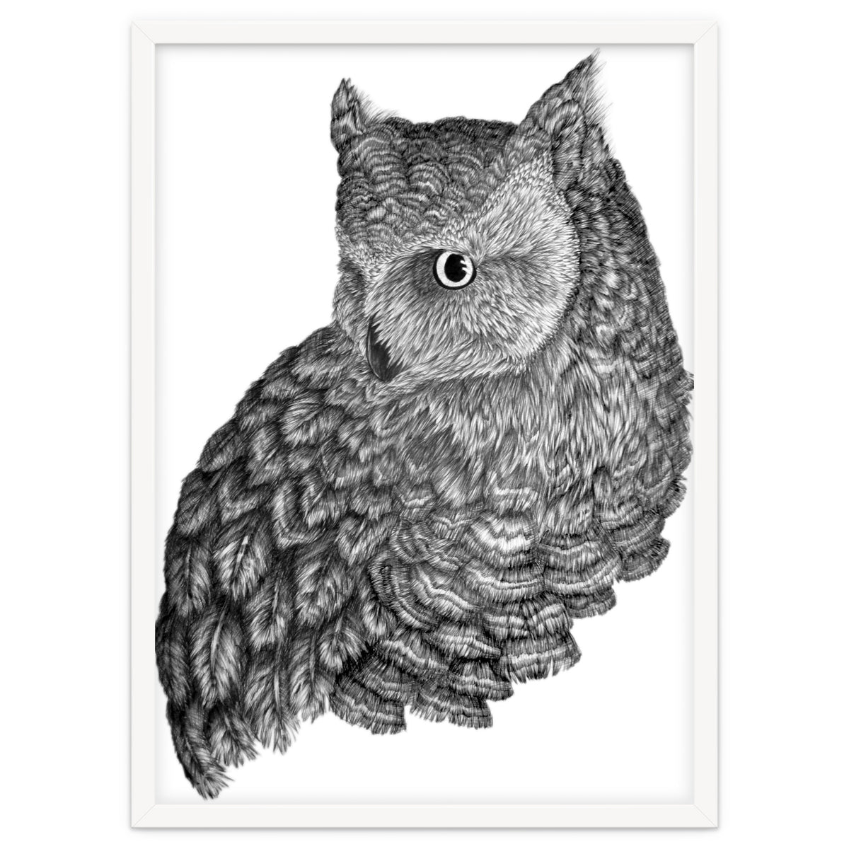 A Friend For Forsythe