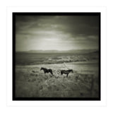 Gillen (Print Only) thumbnail