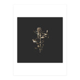 Golden Botanicals -  Square (Print Only) thumbnail