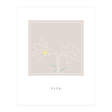 lily flower (Print Only) thumbnail
