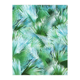 Palm Dreamer (Print Only) thumbnail