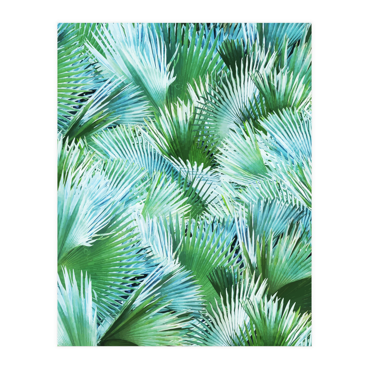 Palm Dreamer (Print Only)