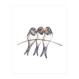 Three young swallows (Print Only) thumbnail
