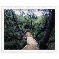 Glen Canyon Park
