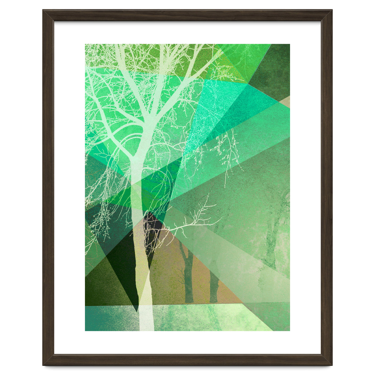 P22 B Trees And Triangles