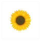 Watercolor Sunflower (Print Only) thumbnail