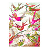 Haven (Print Only) thumbnail
