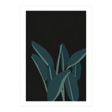 Bird Of Paradise (Print Only) thumbnail