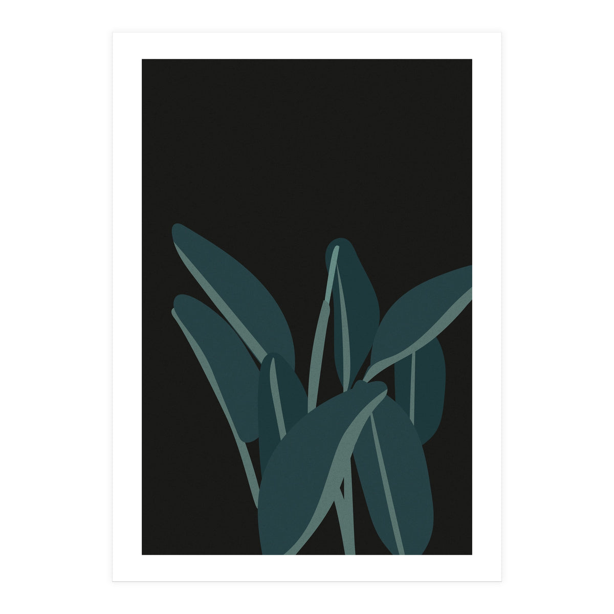 Bird Of Paradise (Print Only)