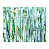 Lost Cactus (Print Only) thumbnail