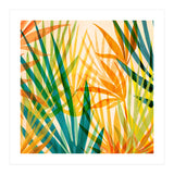 Golden Tropics (Print Only) thumbnail