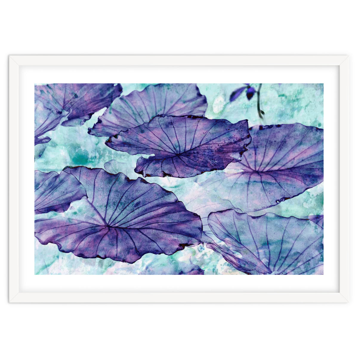 Botanical Surrealism