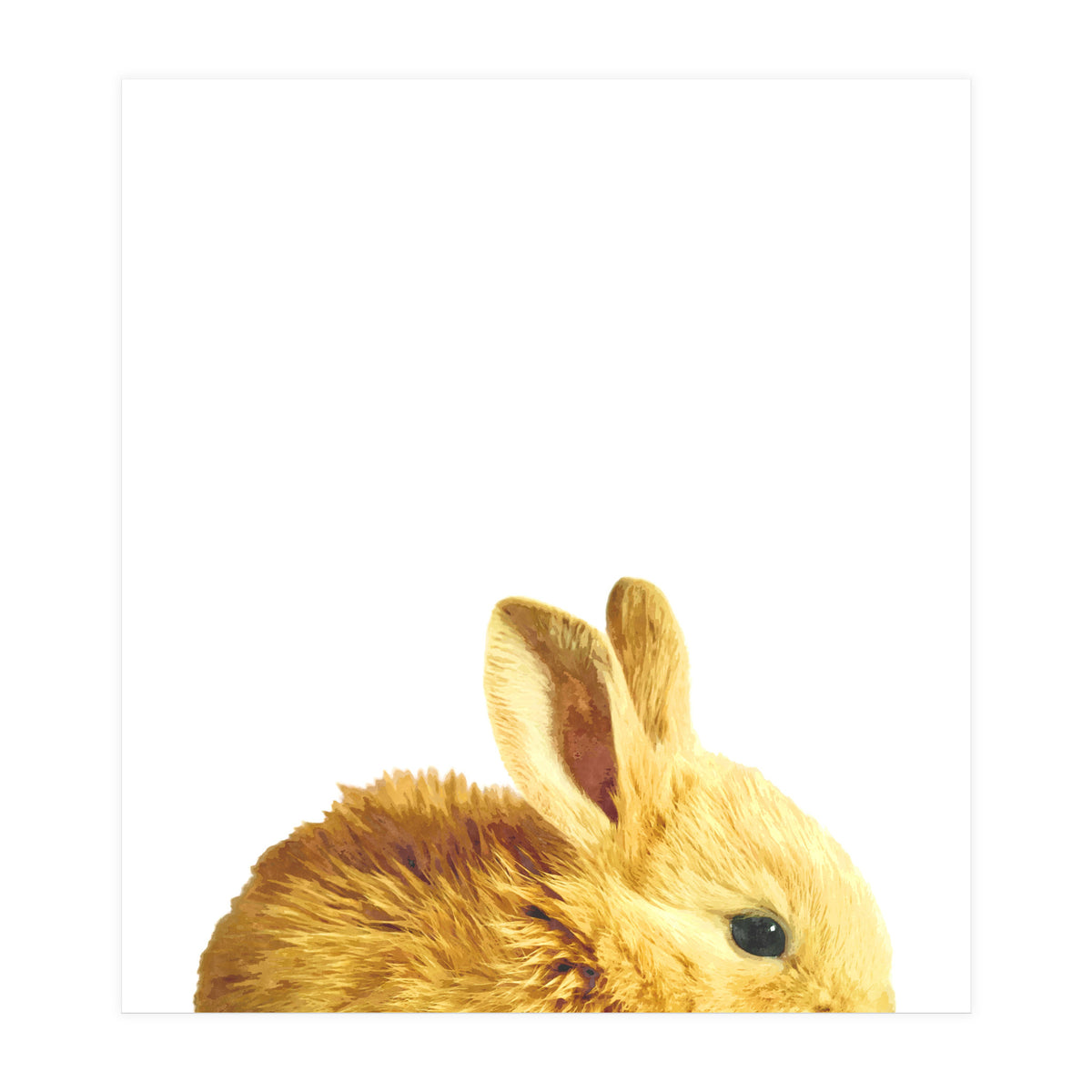 Bunny Portrait (Print Only)
