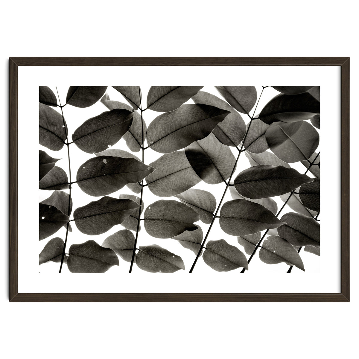 Branches and Leaves I