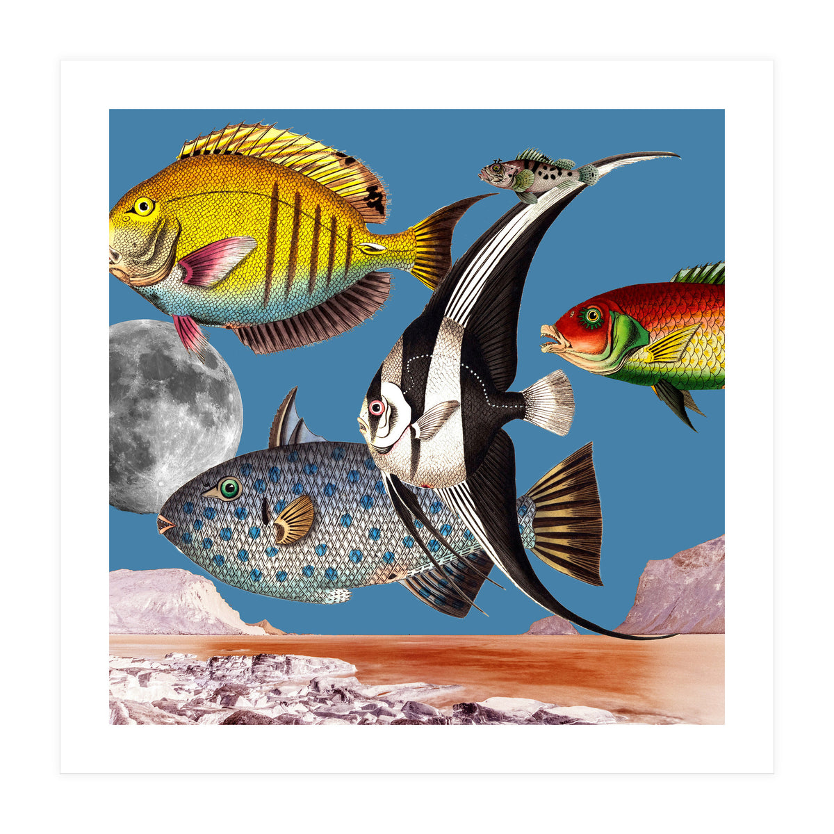 Fish World Blue (Print Only)