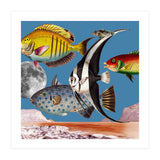 Fish World Blue (Print Only) thumbnail