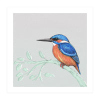 The kingfisher (Print Only)
