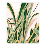 Blush Botanical Unfolding (Print Only) thumbnail