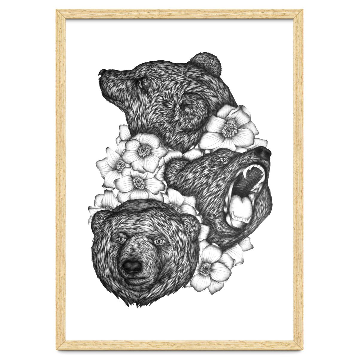 Bears In Bears