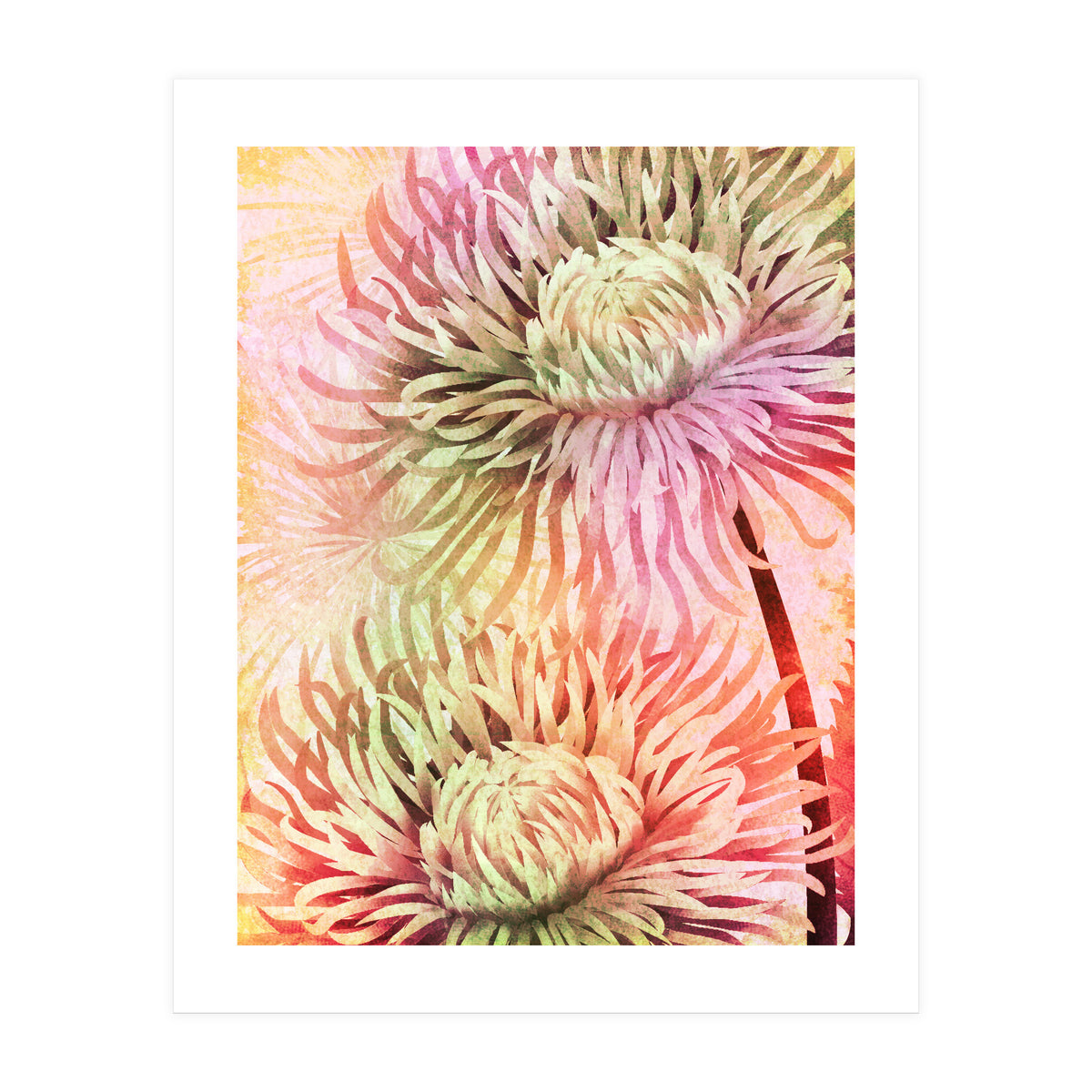 Blooming Flowers (Print Only)