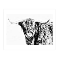 Highland bull (Print Only)