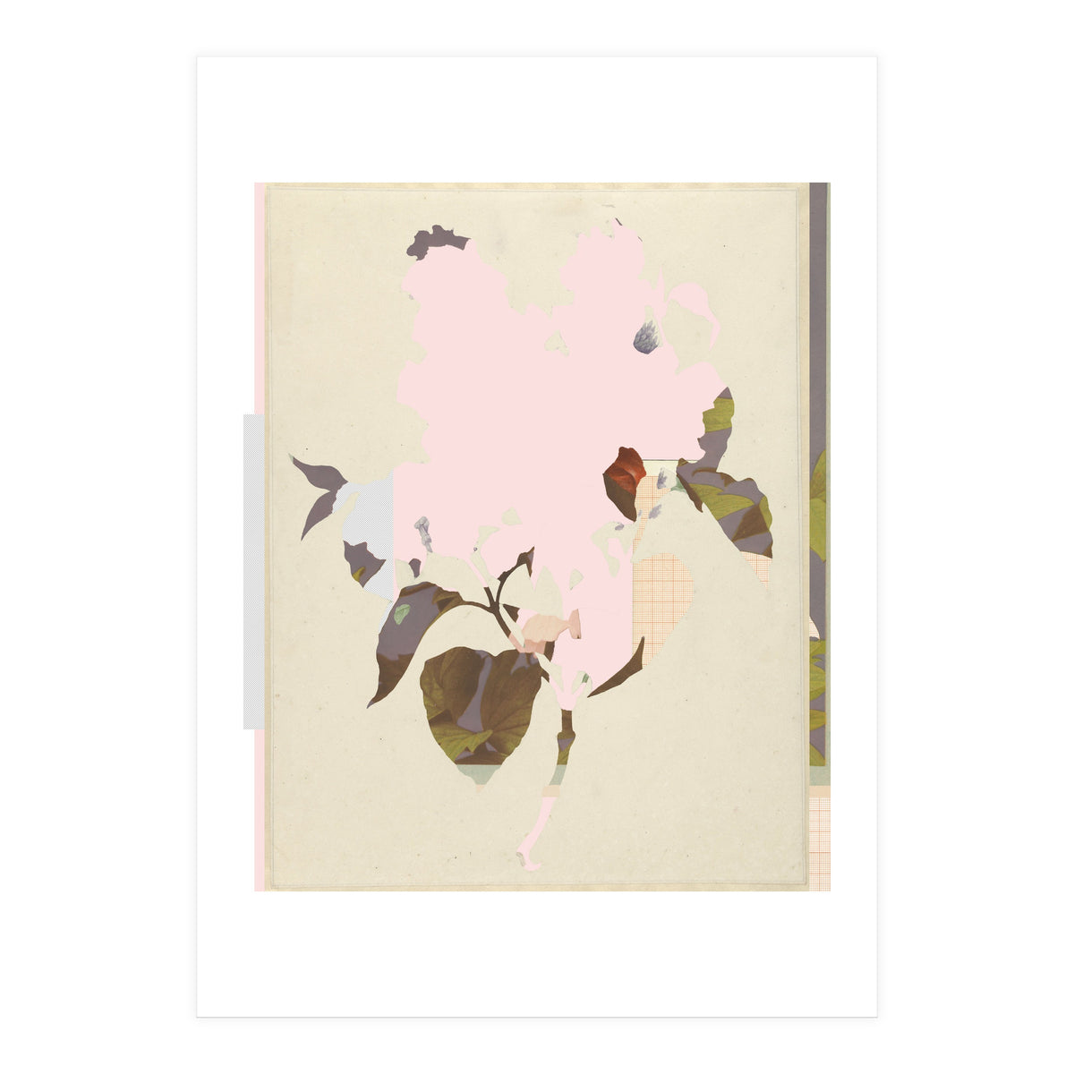 The First Plant · G (Print Only)