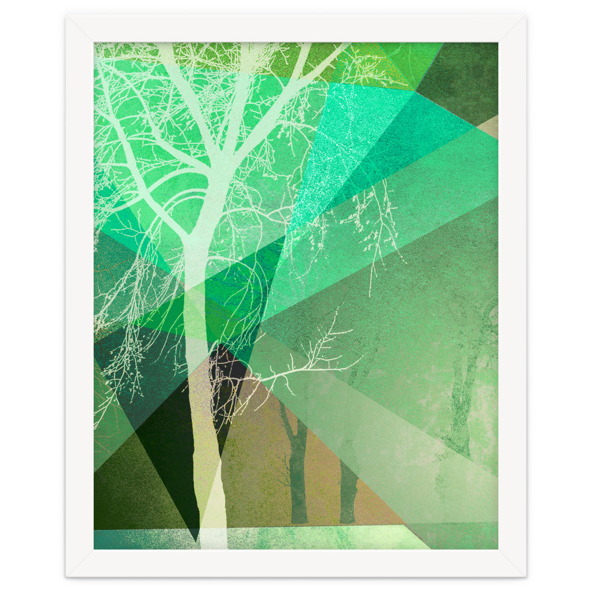 P22 B Trees And Triangles