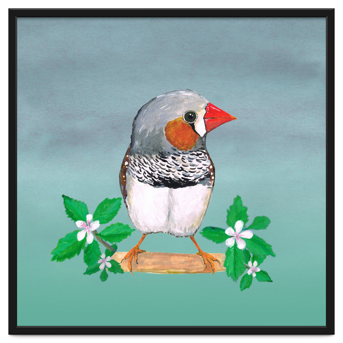 Zebra finch