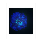 Lucky Blue Rose (Print Only) thumbnail