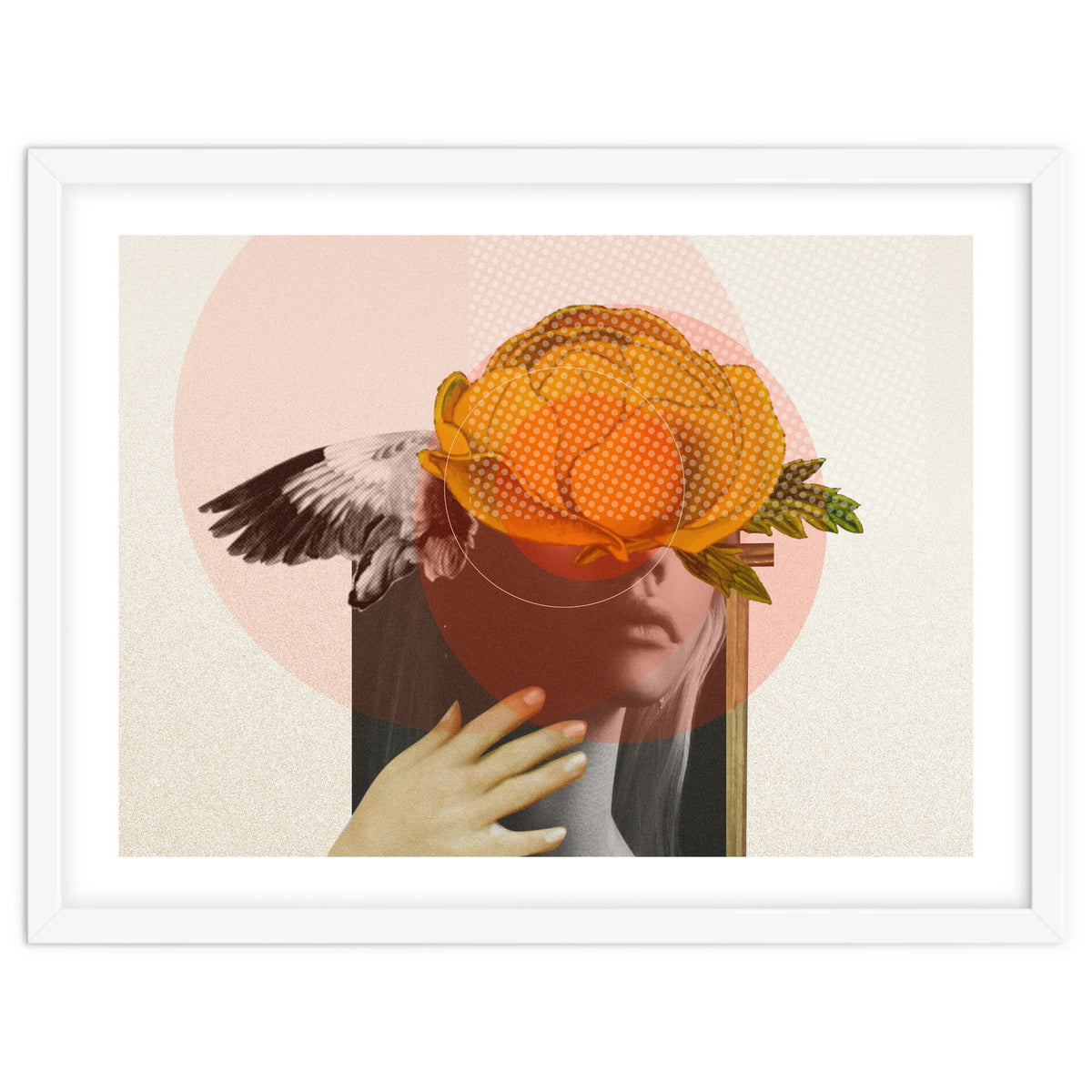 Dreamland Division · C