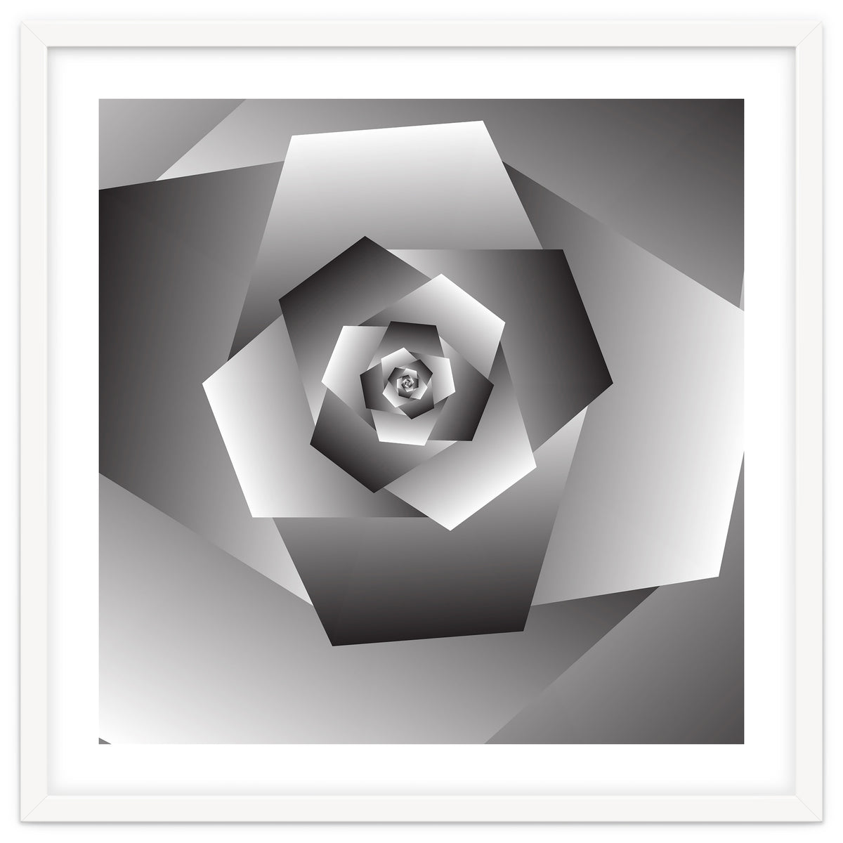 Monochrome Rose Spiral