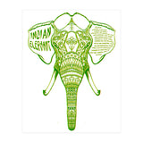 Indian Elephant (Print Only) thumbnail